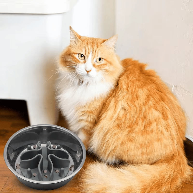fond-de-gamelle-anti-glouton-chat