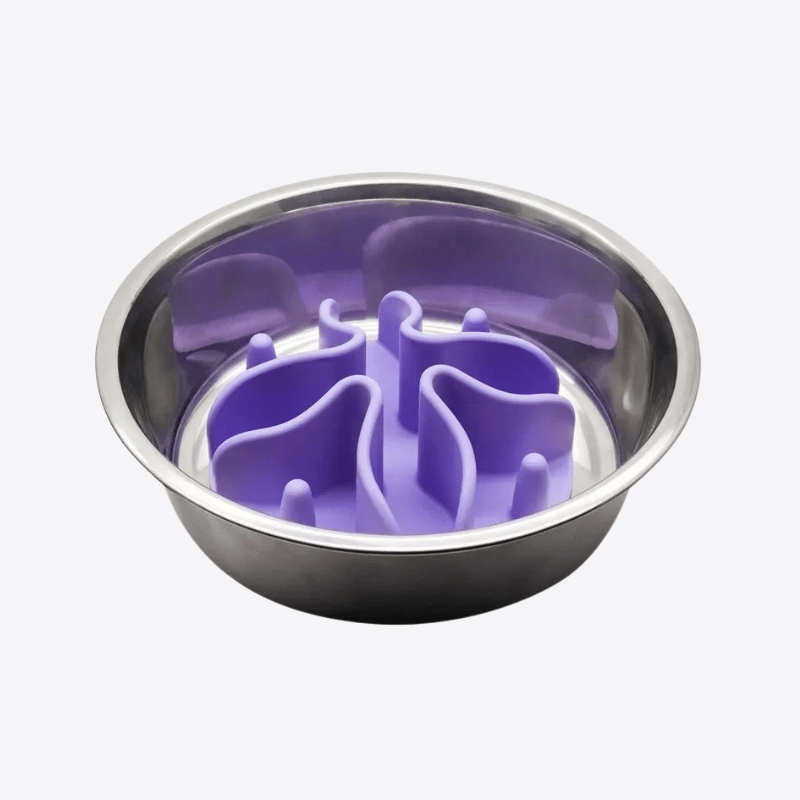 fond-de-gamelle-anti-glouton-gamelle-inox