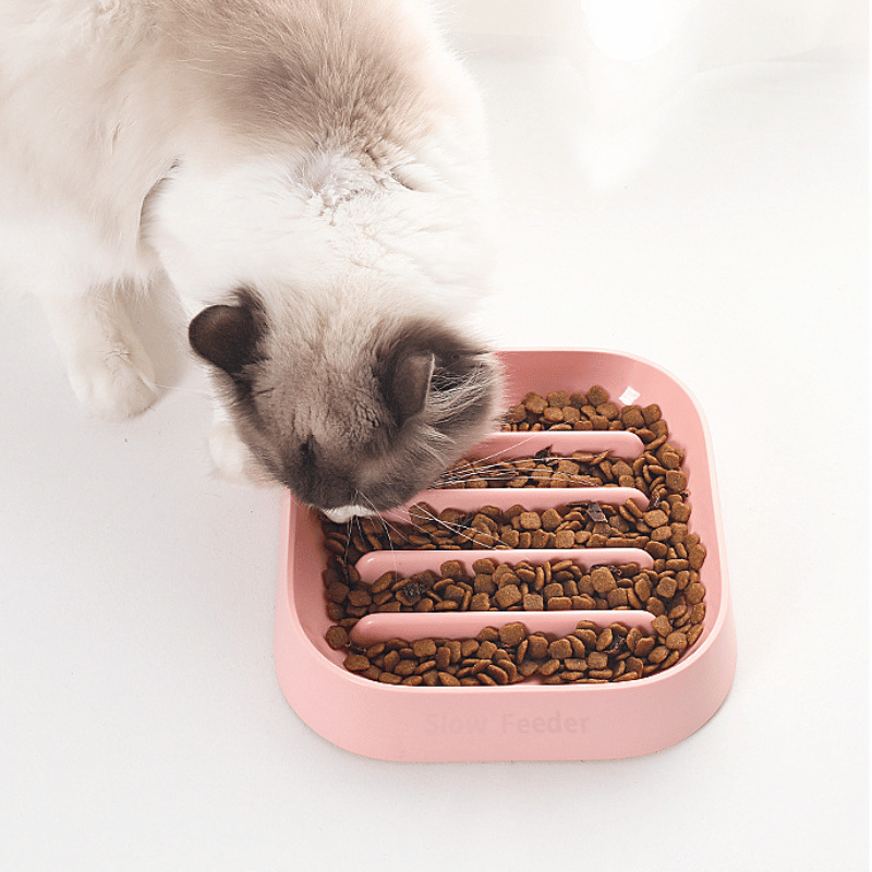 gamelle-anti-glouton-bouledogue-francais-compatible-chat