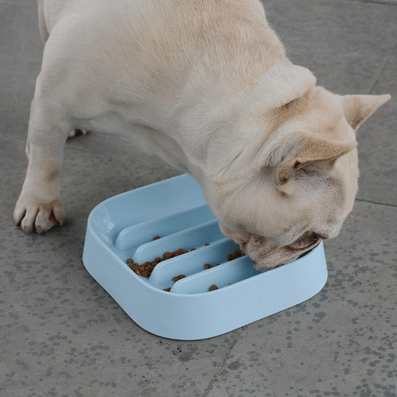 gamelle-anti-glouton-bouledogue-francais-qui-mange