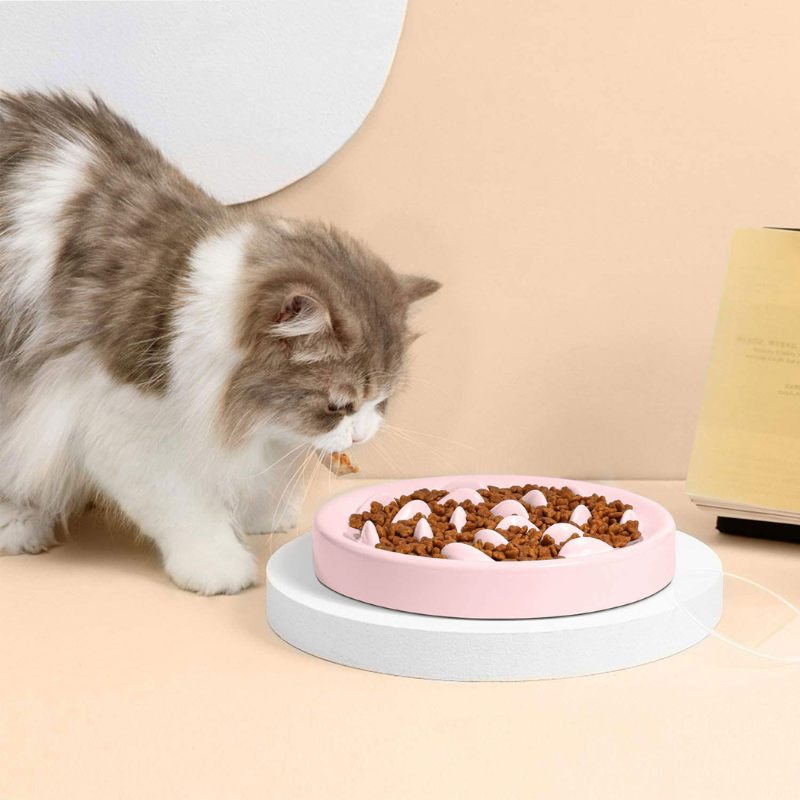 Gamelle anti glouton chat labyrinthe