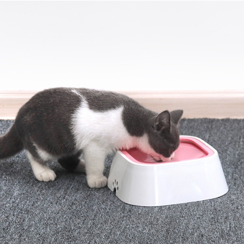 gamelle-anti-glouton-eau-chat