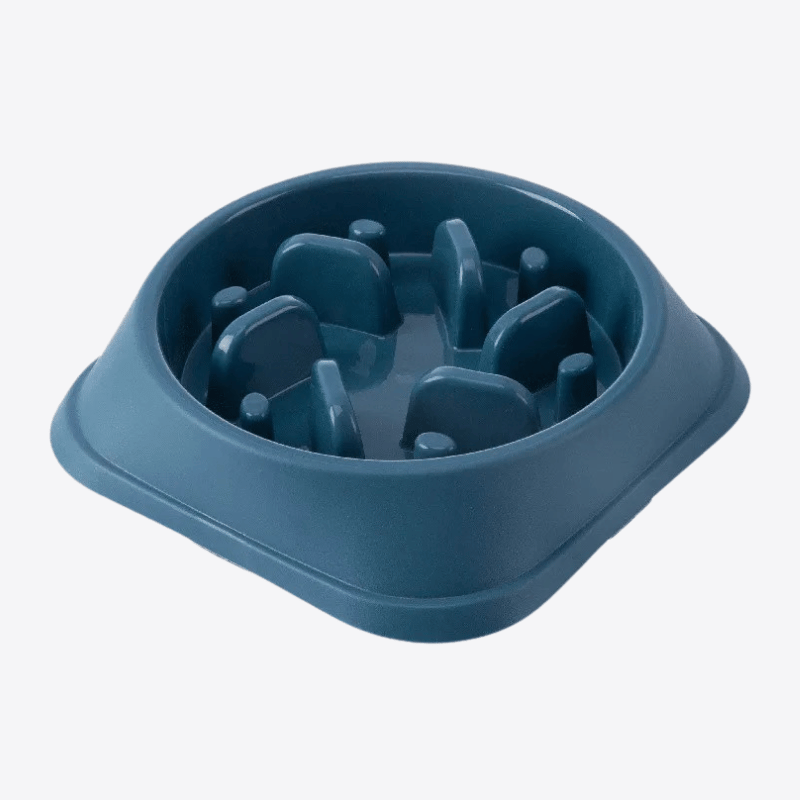 gamelle-anti-glouton-grand-chien-bleue