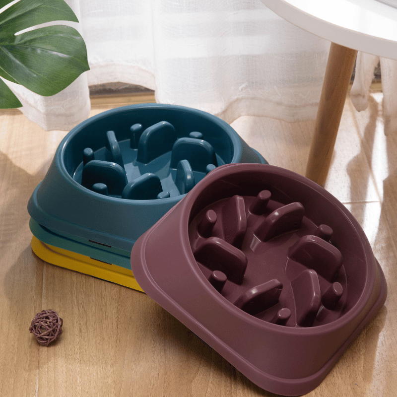 gamelle-anti-glouton-grand-chien-quatre-gamelles