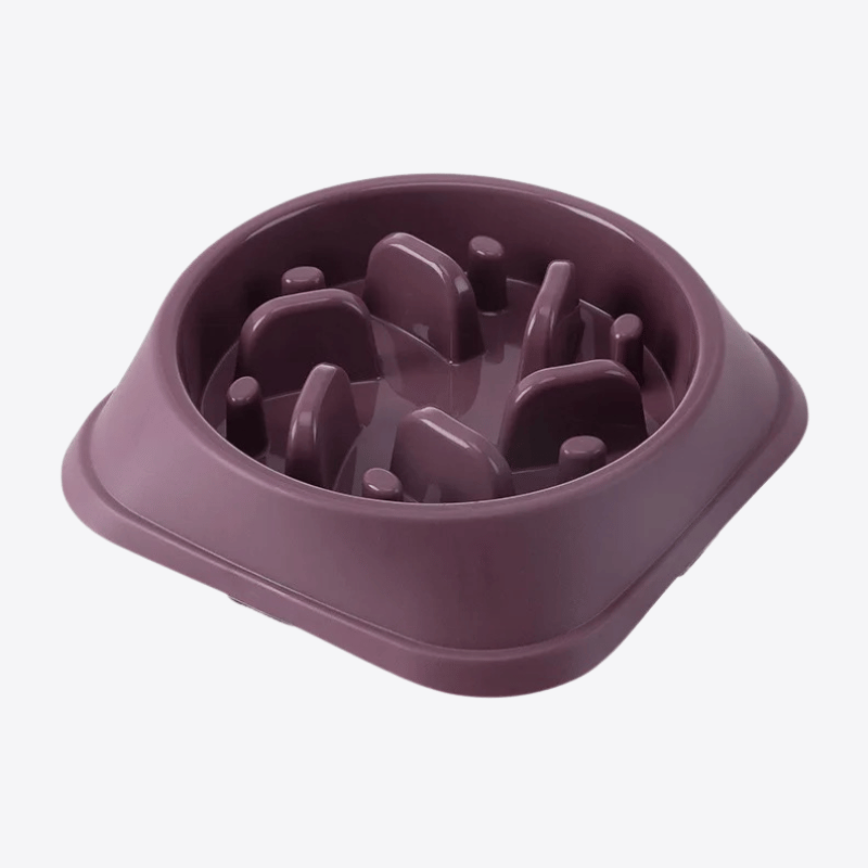 gamelle-anti-glouton-grand-chien-violette