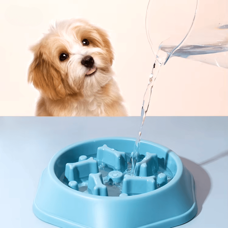 gamelle-anti-glouton-gros-chien-eau