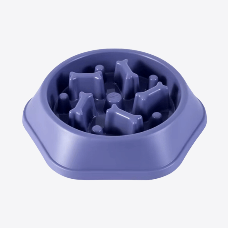 gamelle-anti-glouton-gros-chien-violet