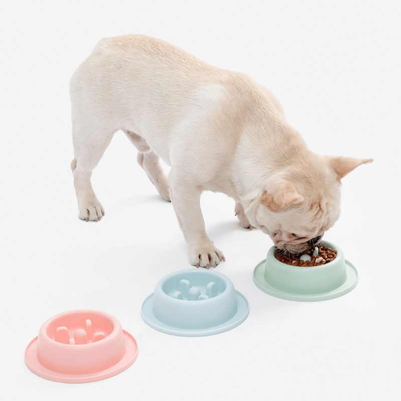 gamelle-anti-glouton-petit-chien-trois-gamelles-avec-chien