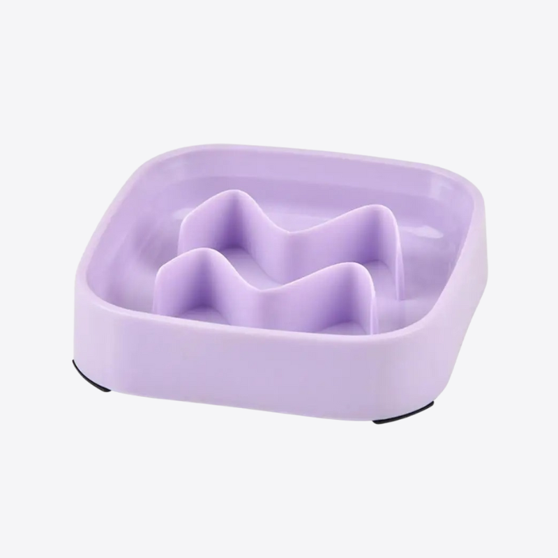 gamelle-anti-glouton-petite-taille-violette