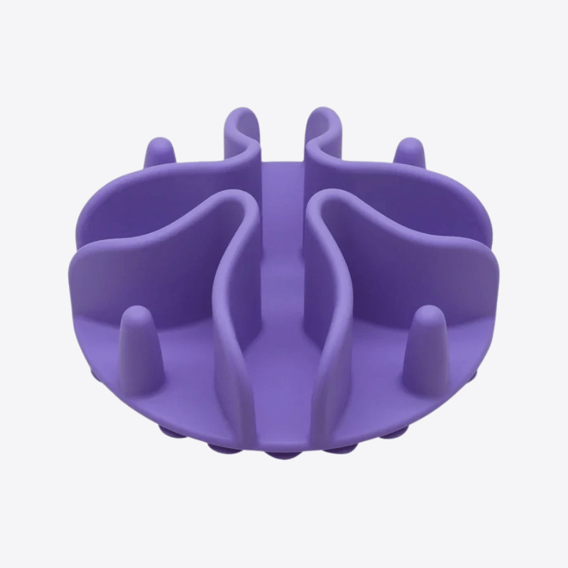 fond-de-gamelle-anti-glouton-violet