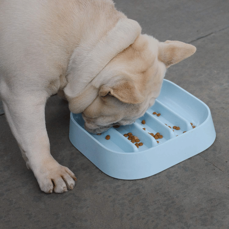 gamelle-anti-glouton-bouledogue-francais-museau-dans-gamelle