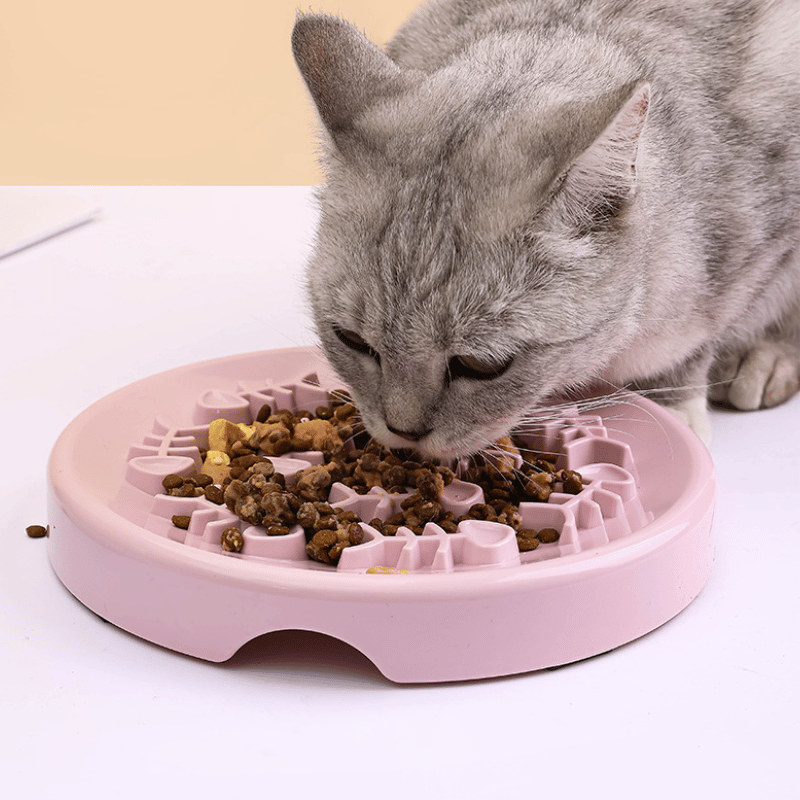 gamelle-anti-glouton-chat-ceramique-avec-croquettes