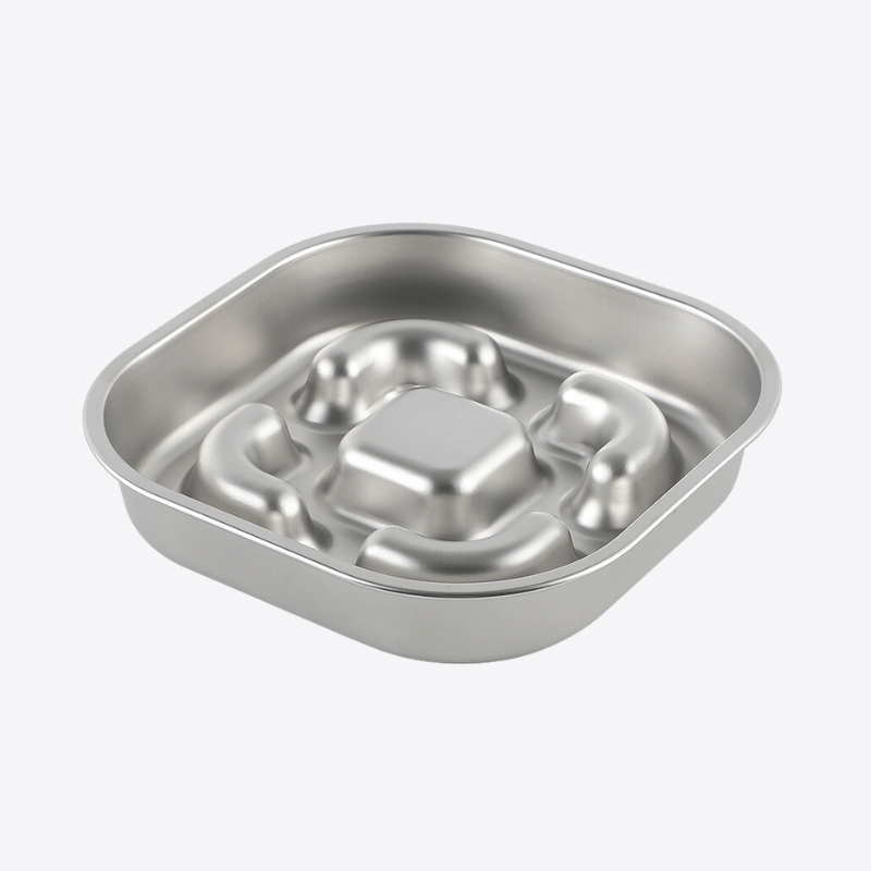 gamelle-anti-glouton-chat-inox
