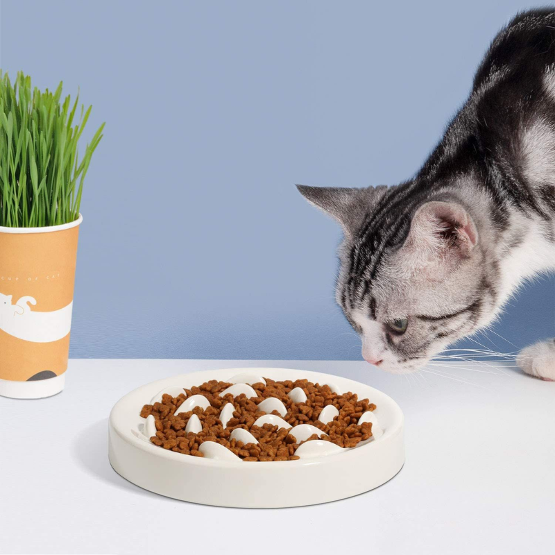 Gamelle anti glouton chat labyrinthe