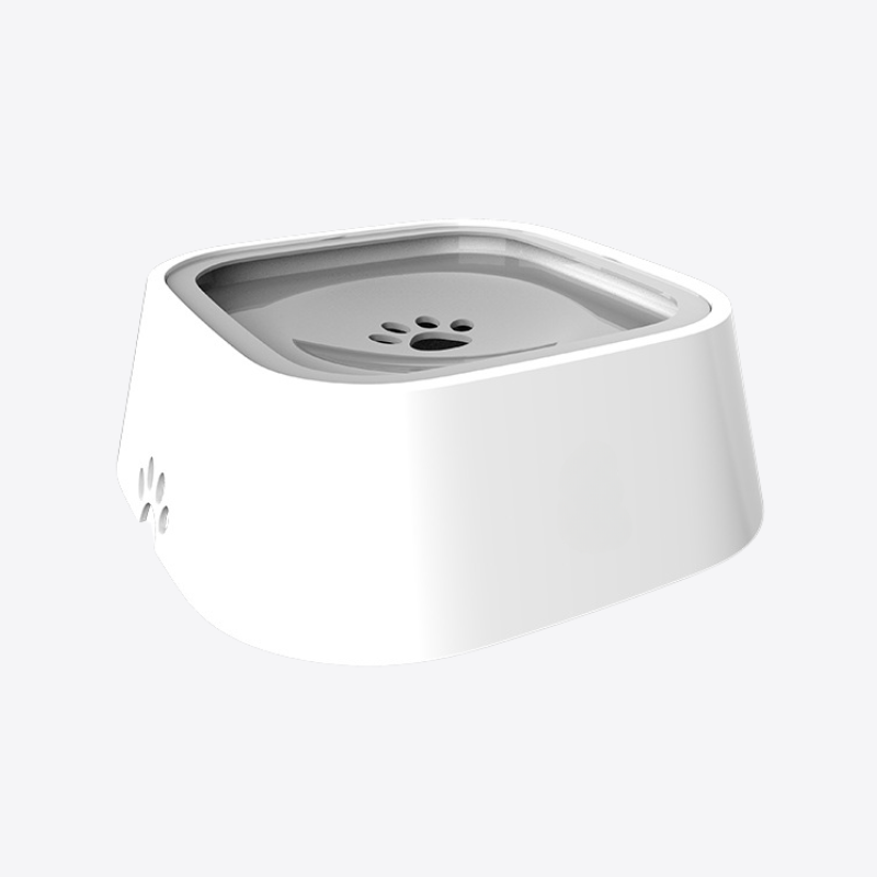 gamelle-anti-glouton-eau
