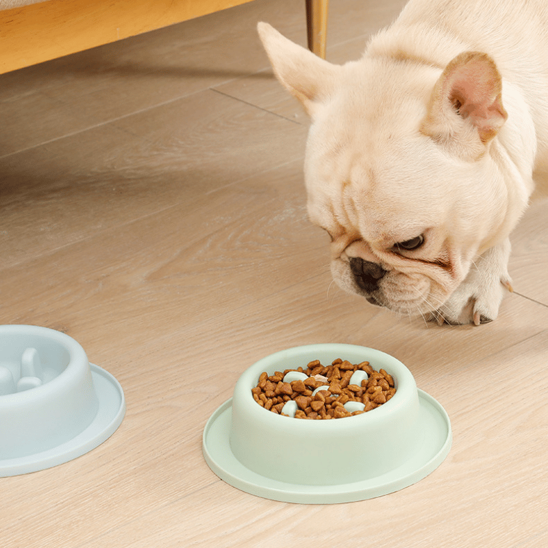 gamelle-anti-glouton-petit-chien-qui-mange