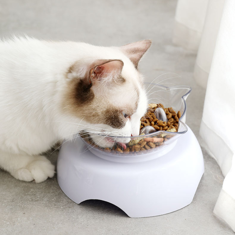 gamelle-anti-vomissement-chat-qui-mange
